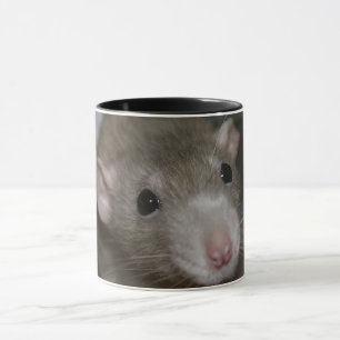 Mug Rat curieux
