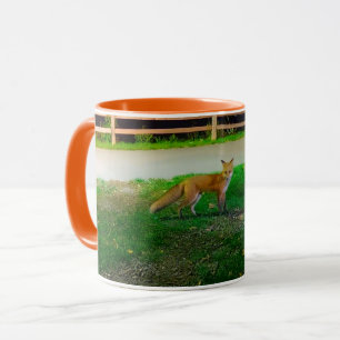 Mug Red Fox