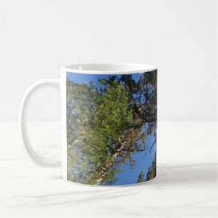 Mug Regardant vers Mariposa Grove