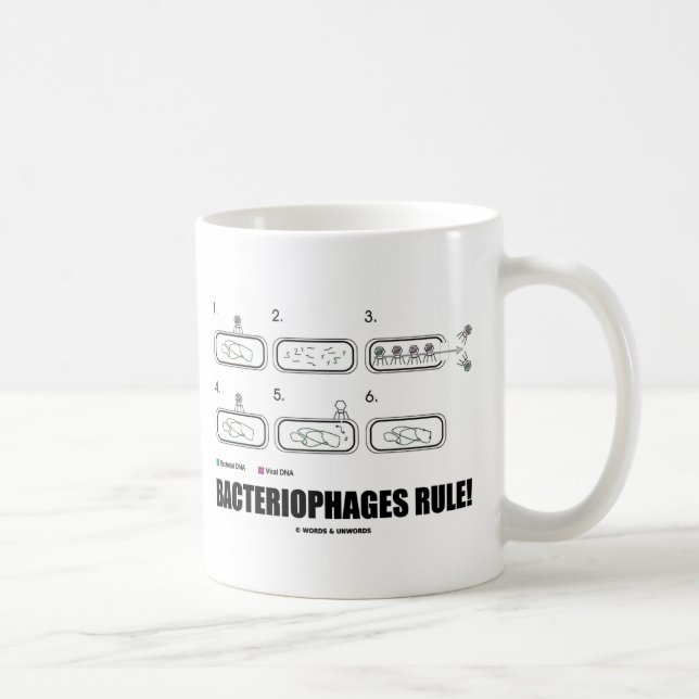 Mug Règle de bactériophages ! (ADN de virus de (Droite)