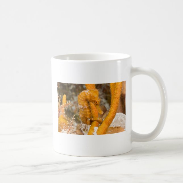 Mug Reidi de hippocampe - hippocampe de Longsnout (Droite)