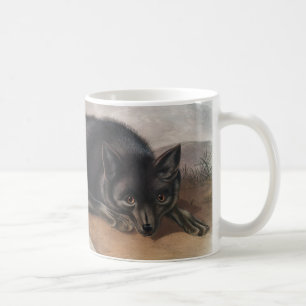 Mug Renard noir ou argenté américain (Vulpes fulvus)