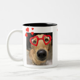 Mug Renard Red Labrador Retriever avec lunettes de coe
