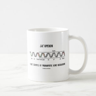 Mug Repérage procaryotique de gène d'exemple classique