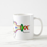 Reproduction d'ADN