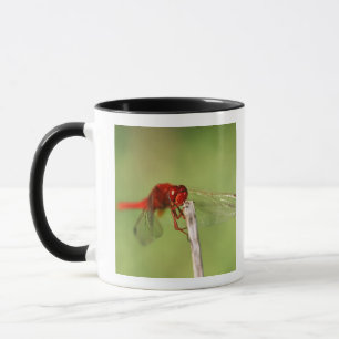 Mug Réserve naturelle de Thomas Baines, le