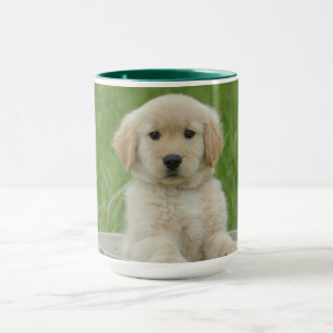 Mug Rétrificateur d'or dans le bassin de Wash