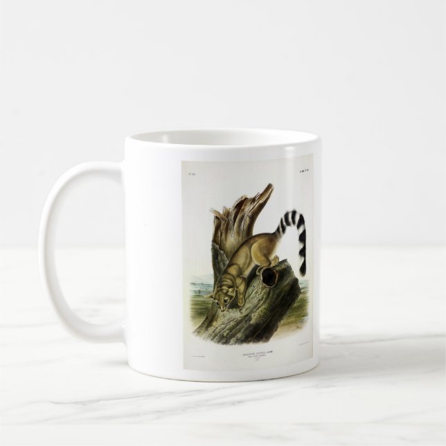 Mug Ringtail (Bassaris à queue annelée, Chat à queue a (Gauche)