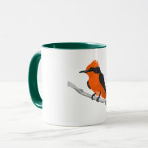Robin