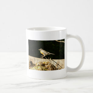 Mug Robin