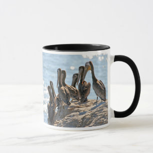 Mug Rock pélican