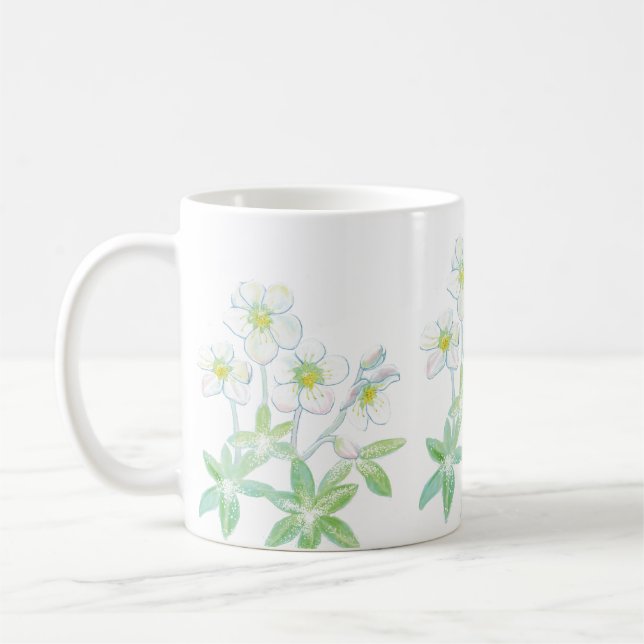 Mug Rose de Noël, Helleborus niger (Gauche)