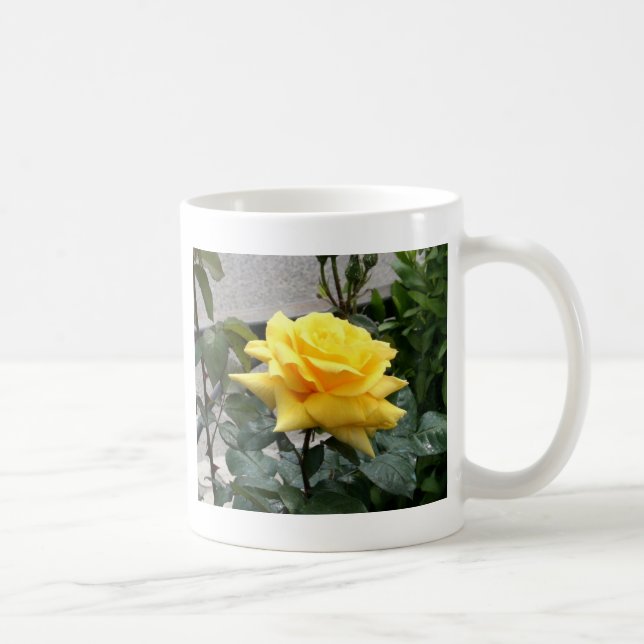 Mug Rose jaune du Texas (Droite)
