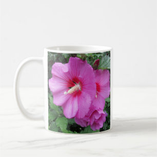 Mug Rose rose De Sharon Raindrops Pétales Photo