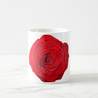 Mug Roses