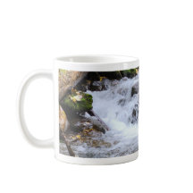 Ruisseau forestier coulant avec des rochers moussu