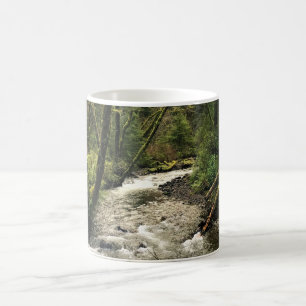 Mug Ruisseau Short Sand, Oswald West, Oregon
