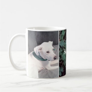Mug Saint-Patrick's Day Shamrocks et Chien de Clovers