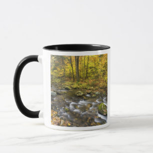 Mug Sanderson Brook. Forêt d'État de Chester-Blanfor