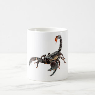 Mug Scorpion