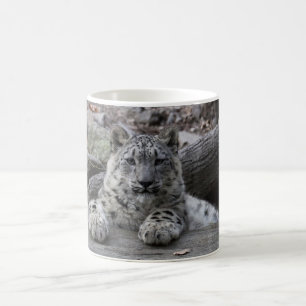 Mug Séance de CUB de léopard de neige
