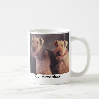 Mug Sel et Ritz, obtenus des Airedales ?