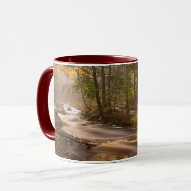 Mug Sentier des Appalaches ruisseaux | Vermont (Devant gauche)
