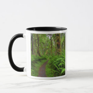Mug sentier Maple Glade, fougères et mousse couvrent