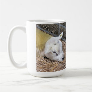 MUG SHEEP