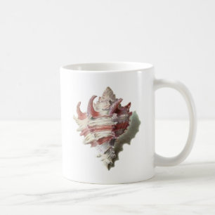 Mug Shell rose