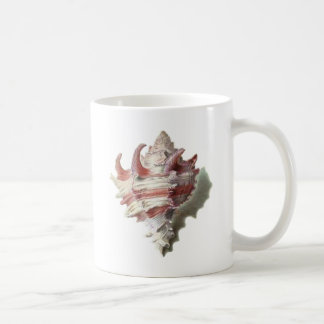 Mug Shell rose