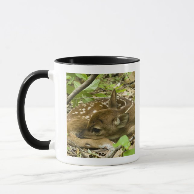 Mug Shenandoah NP, la Virginie, Etats-Unis (Gauche)