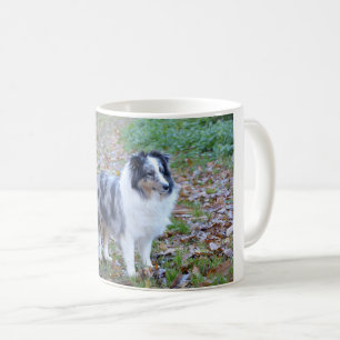 Mug shetland-sheepdog-bleu merle blanc tan plein