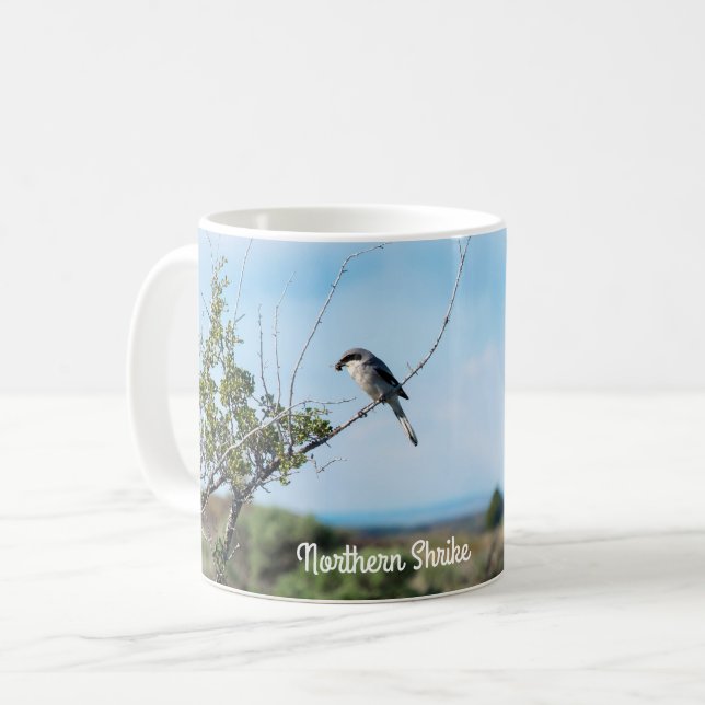 Mug Shrike du Nord (Devant gauche)