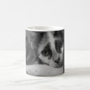 Mug S'il vous plaît Kitty
