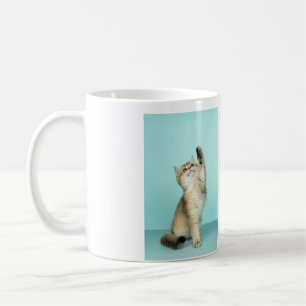 Mug Simple animal name details QR code add text photo