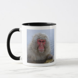 Mug Singe japonais de neige dans le hotspring