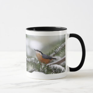 Mug Sittelle sur la branche de Milou en hiver