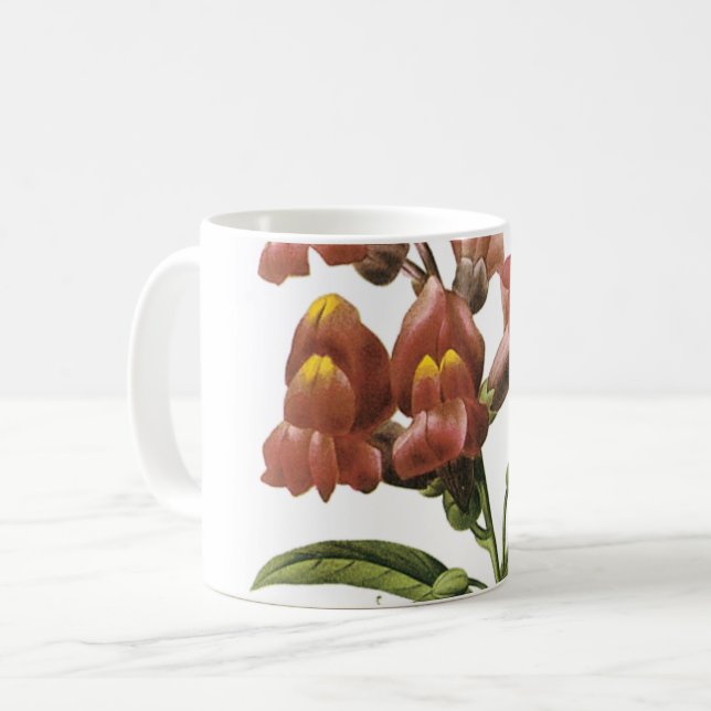 Mug snapdragon(Antirrhinum sp.) par Redouté (Devant gauche)