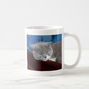 Mug sommeil gris et blanc de chat