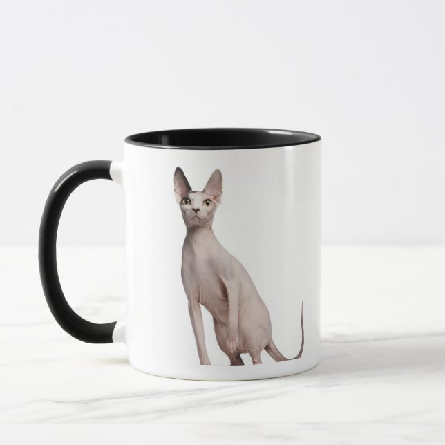 Mug Sphynx (13 mois) (Gauche)