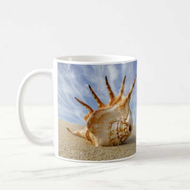 Mug Spider Conch Shell sur Sandy Beach (Gauche)