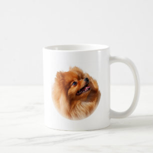 Mug Spitz de Pomeranian