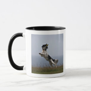 Mug springer spaniel noir et blanc jouant avec