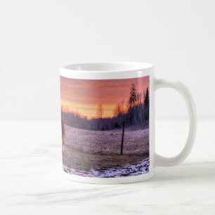 Mug Stallion à la maison au coucher du soleil sur le R