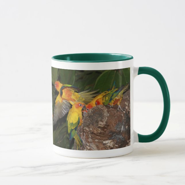 Mug Sun Conures (Droite)