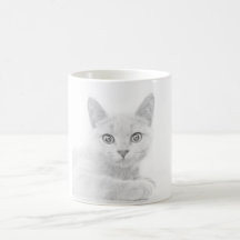 SUPER CUTE Kitten Portrait Photographie