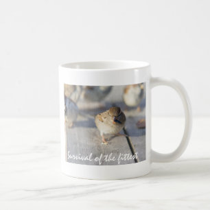 Mug Survie De La Fittest