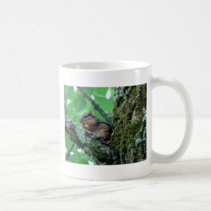 Mug Sweet Chipmunk dans un arbre Vêtements et cadeaux