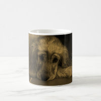 Sweet Dog - Golden Retriever en Sepia Tones